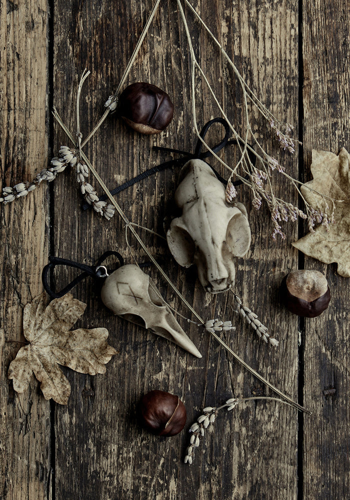 Cat Skull Offering