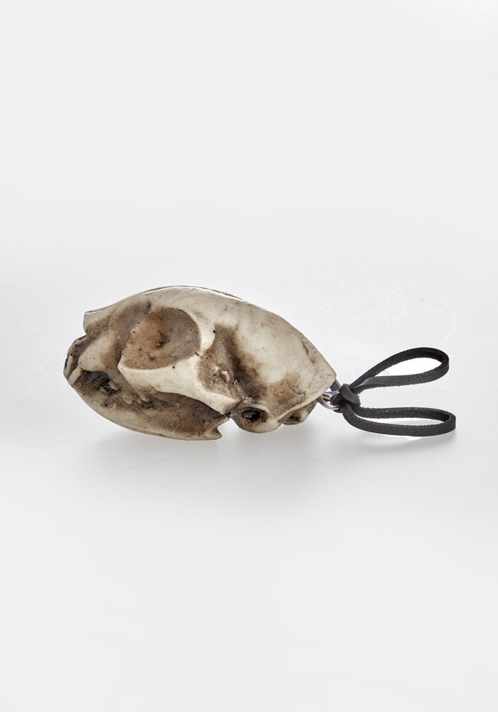 Cat Skull Offering