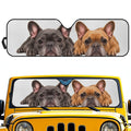 DOG WINDOW SHADE CUSTOMIZED DESIGN