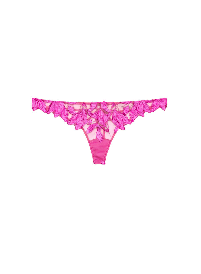 Lily Embroidery Hipster Thong-wild pink-flat
