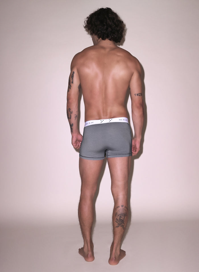 Men's Boxer Brief-grey