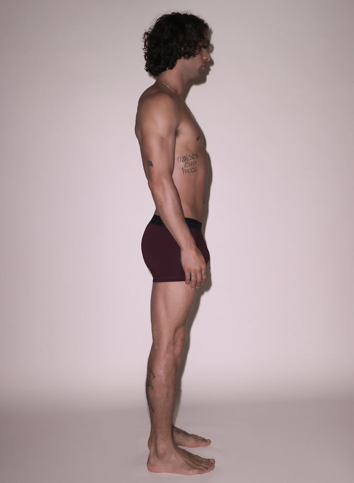 Men's Boxer Brief-red