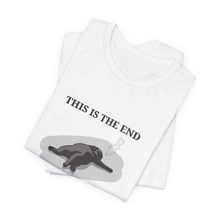 'This Is The End' Graphic Tee — Melancholic Cat Illustration T-Shirt