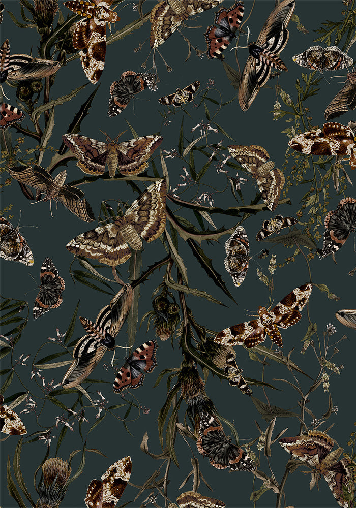 Whispen Moth Print Mini Wrap Dress
